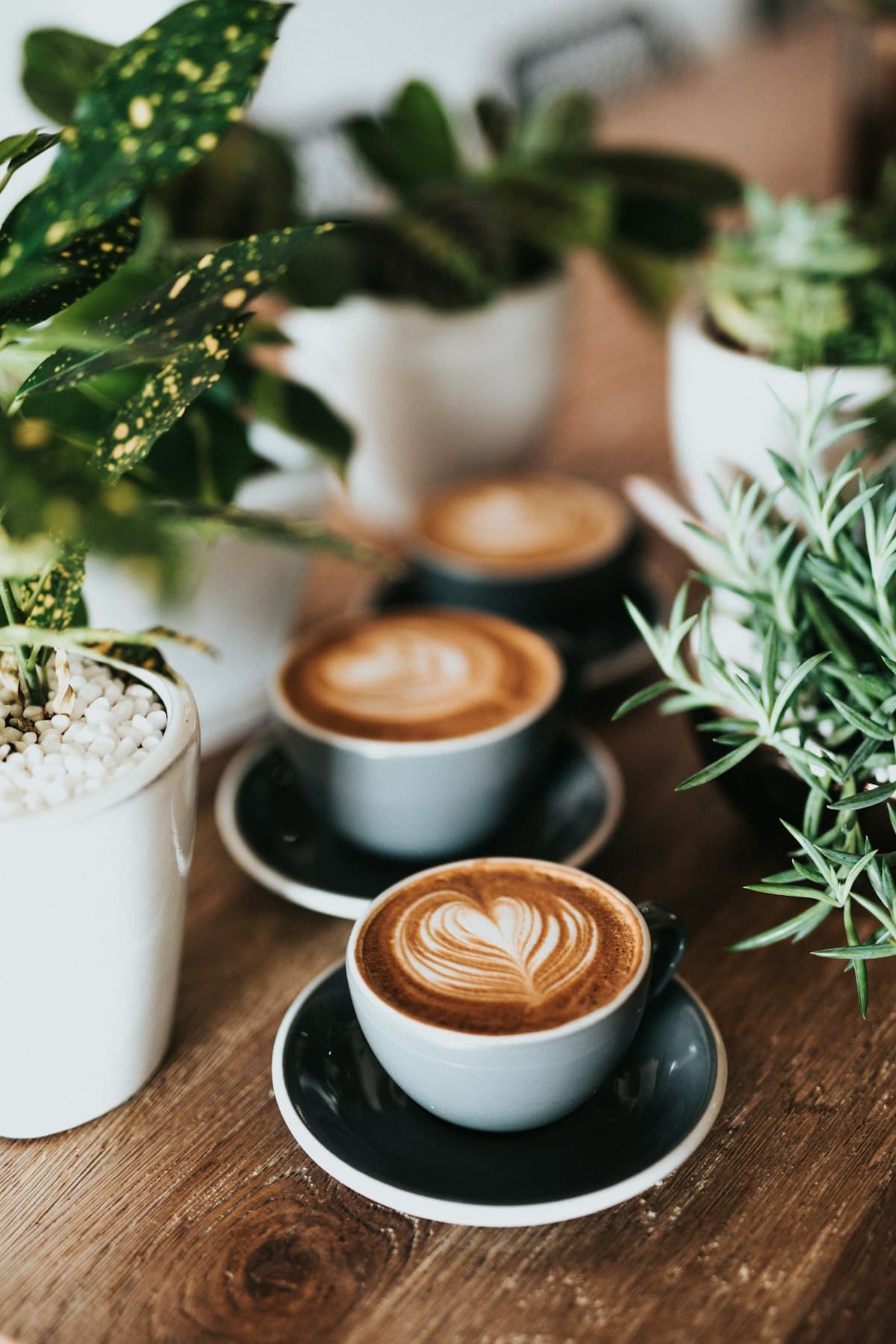 Café con Leche